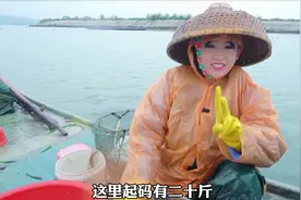 下大雨赶海收地笼，一网抓了二十几斤鱼虾，阿渔妹收钱收到手软视频封面