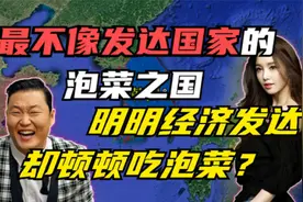 韩国为什么成为会发达国家？经济发达却顿顿吃泡菜？视频封面