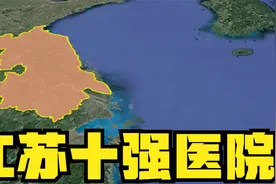 江苏十强医院，江苏省人民医院排第1，南京鼓楼医院排第4
