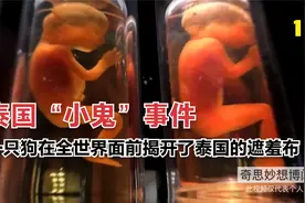 一只狗在全世界面前揭开了泰国的遮羞布---泰国“小鬼”事件（1）