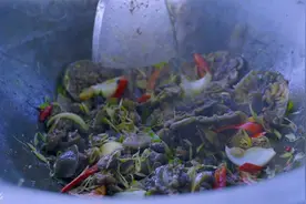 惊人的捕捉很多海龟在洞里然后烹饪海龟油炸吃视频封面