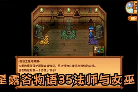 星露谷物语35法师与女巫视频封面