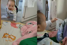 看8岁姐姐哭泣，1岁弟弟爬客厅拿纸巾帮擦泪，女孩瞬间被暖到微笑视频封面