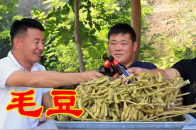老人为什么在田间地头一坐一整天呢？农村小伙说这样一番话解释！视频封面