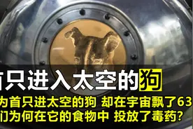 第一只进入太空的狗，在宇宙飘了63年，人类却为何要毒死它？视频封面