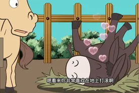 驴打滚，为什么驴喜欢在地上打滚？视频封面