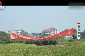 农户试种花生新品种 比精心选种的自留种产量高 一亩地增产500斤视频封面