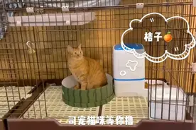 如何成为一名趣链er？趣链工作环境大揭秘视频封面