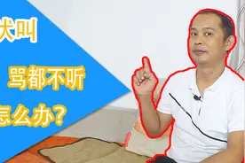 每次一有人敲门、路过，狗狗就会狂吠叫，打骂都不听，该怎么办？