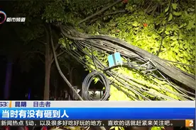 货车挂断电缆 十千伏高压电线杆跟着遭殃视频封面
