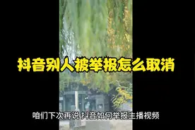 抖音别人被举报怎么取消