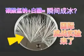 揭秘：国际最新挑战，白醋+碳酸氢钠能让水瞬间结冰！大开眼界啊视频封面