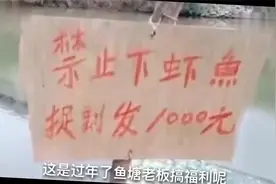搞笑视频：不许动，把小鱼干都给我拿出来，不是二喵子，你在这给视频封面