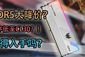 【装机必看】海力士A-die颗粒无敌？如今DDR5值得入手吗？视频封面
