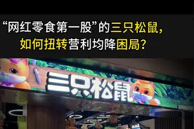“网红零食第一股”的三只松鼠，如何扭转营利均降困局？视频封面