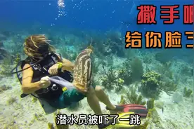 石斑鱼偷袭潜水员抢夺狮子鱼，4潜水员来保护，潜水员：没脸见人视频封面