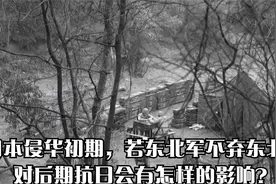 日本侵华初期，若东北军不弃东北，对后期抗日会有怎样的影响？视频封面