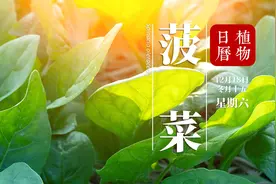 相传它是唐太宗每餐必食，为何道教方士与皇帝 贵族都喜爱它？视频封面