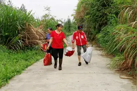 约外婆和婶婶来野外采摘点蕨菜，突然下起了雨，不过收获还是很多视频封面