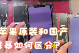 新手如何区分苹果原装屏幕和国产屏幕，一分钟看懂iPhone区别视频封面