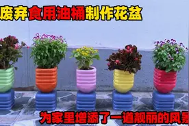 家里废弃的食用油桶千万不要扔，经过简单改造变成非常漂亮的花盆视频封面