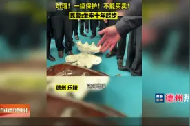 【德州热榜】玳瑁！一级保护！不能买卖！民警：坐牢十年起步视频封面