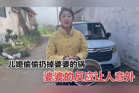 儿媳嫌婆婆做饭难吃，偷偷扔掉婆婆的锅，结局能让人太感动视频封面
