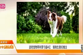 波奇宠物两年累亏超4亿，宠物经济未来究竟应该怎么做？视频封面