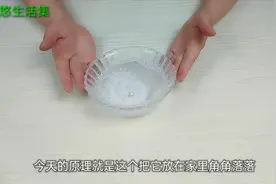 家中苍蝇多很烦人，巧用洗衣粉和一物泡水，不用操心苍蝇自动灭除视频封面