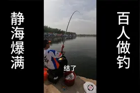 是什么样的钓场这么狠！静海花园梦者杯满员爆坑了，今天算赔么视频封面