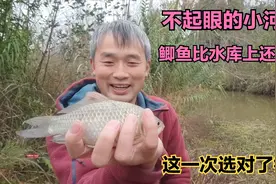 可别小瞧这样的小河沟，里面的鲫鱼并不小，这次的钓点没让人失望视频封面