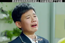 男孩偷偷将狗狗带到课堂上 不料被老师抓了个正着视频封面