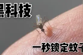听到嗡嗡嗡却找不到蚊子？黑科技用激光瞬间定位