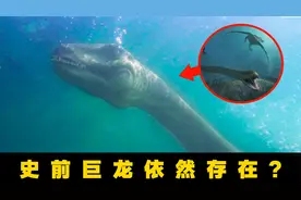 6个你没见过的深海奇物，尼斯湖水怪都没它怪！