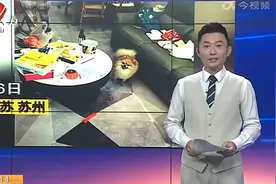 苏州：“13岁男孩独居66天喂胖自己和猫狗”视频走红视频封面