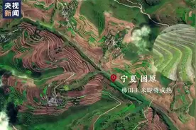 太壮观！卫星看五彩丰收农田视频封面