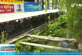 临沂青龙河变成臭水河，浑浊不堪腥臭难闻，两岸居民直接往里排污视频封面