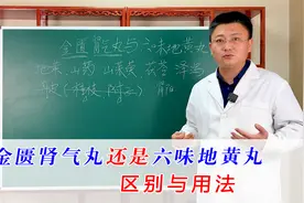 中成药：金匮肾气丸与六味地黄丸的区别与用法，补肾你用对了吗？视频封面