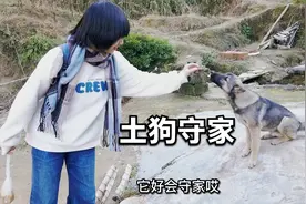 女孩上学一个月才回村，家里小狗不相识看见小主人又喜又怕视频封面