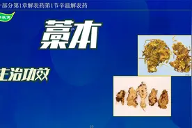 中药-藁本的主治功效视频封面