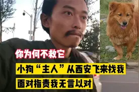 小黄狗的“主人”从西安飞来找我，面对她哭泣的指责，我无以言对视频封面