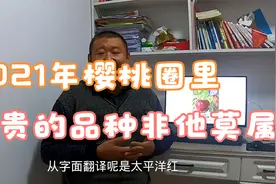 美国太平洋红樱桃为什么会成为2021年苗木圈里最贵的品种？视频封面