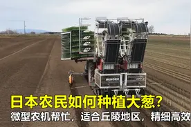 日本农民如何种植大葱？微型农机来帮忙，适合丘陵地区，精细高效视频封面
