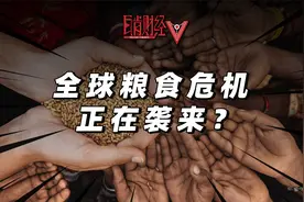 全球粮食危机，「罪魁祸首」究竟是谁？视频封面
