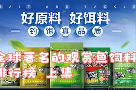 你知道十大鱼粮品牌都有哪些吗？鱼粮品牌排行榜。#养鱼 #水族视频封面