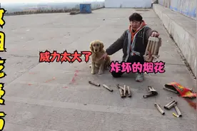 有人放烟花受伤，事故现场还有很多血迹，大家放烟花切记注意安全视频封面