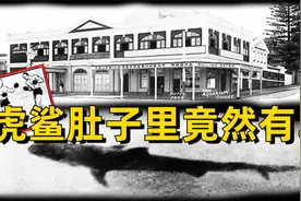 悉尼海洋馆：游客目睹虎鲨吐出半截手臂，受害人多重身份让人震惊视频封面