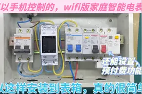 远程查看家中用电情况，还能当做预付费电表使用，安装其实蛮简单