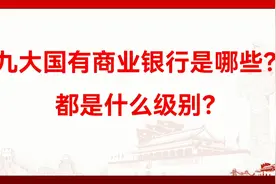 我国有哪九大商业银行？都是什么级别？视频封面
