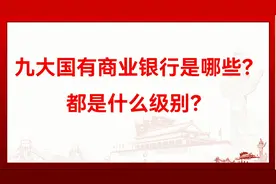 我国有哪九大商业银行？都是什么级别？视频封面